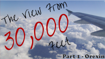Diet for Narcolepsy:  A Science-y View from 30,000 Feet (Part 1 – Orexin)