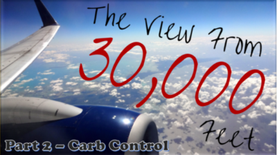Diet for Narcolepsy:  A Science-y View from 30,000 Feet (Part 2 – Carbohydrate Control)