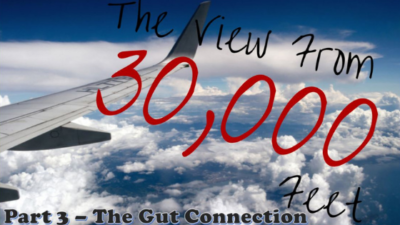 Diet for Narcolepsy:  A Science-y View from 30,000 Feet (Part 3 – The Gut Connection)